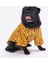 Mustard Ossa Kedi ve Küçük Irk Köpek Gömleği (2,5 kg-11 kg arasına uygun) 1