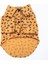 Mustard Ossa Kedi ve Küçük Irk Köpek Gömleği (2,5 kg-11 kg arasına uygun) 3