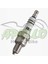 Buji Sct - Cup A7TC Marshal 1