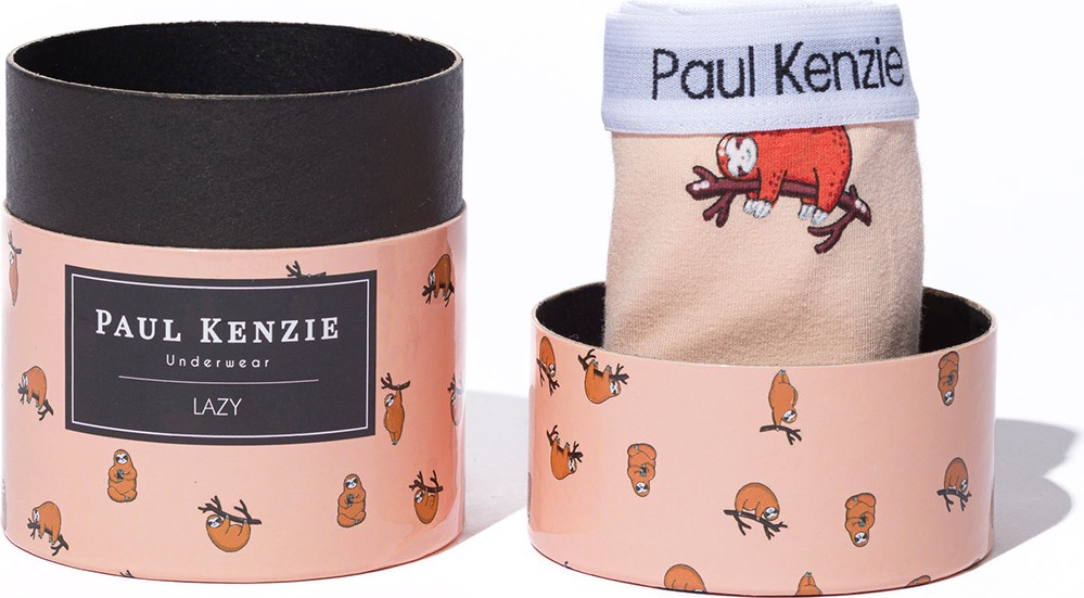 Paul Kenzie Unique Effect Desenli Kadın Slip Külot - Lazy görsel 2