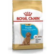 Royal Canin Poodle Junior Yavru Köpek Maması 3 Kg.