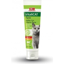 Bio Pet Active Biopetactive Vitalicat Paste (Kediler İçin Vitamin Paste) 100Ml