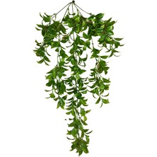 Cihan Çiçekçilik Limon Yaprağı 5 Dallı Sarkıt 80X50