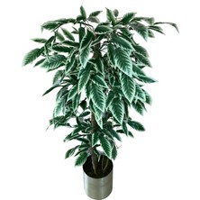 Cihan Çiçekçilik Yeşil Beyaz Yapay Ceviz Ağacı 180 cm 30X30 Metal Saksı