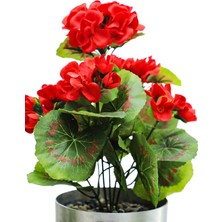 Cihan Çiçekçilik Sardunya Kırmızı 25 cm Dekoratif Bitki 12X12 Metal Saksı
