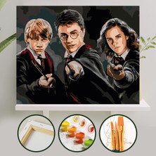 Palmiye Hobi Sanat Sayılarla Boyama Tuval Seti Fırça Boya Dahil (Çıtalı) 40X50 cm - Harry Potter