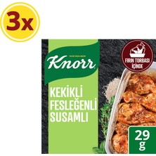 Knorr Çeşni Kekikli Susamlı Fesleğenli Çeşnile Fırınla 29 gX3