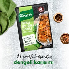 Knorr Çeşni Kekikli Susamlı Fesleğenli Çeşnile Fırınla 29 gX3