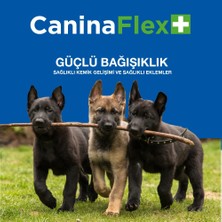 Canina Flex Collagen Glukozamin. 3 Adet Köpekler Için Yeni Nesil Kemik Kas Eklem ve Kıkırdak Desteği.Köpek Gelişim Seti.