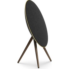 Bang & Olufsen Beoplay A9 Multiroom Kablosuz Hoparlör