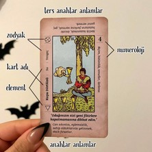 Attach Regin Başlangıç Tarot Destesi