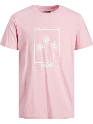 Jack & Jones Bisiklet Yaka Düz Pembe Erkek T-Shirt Jortulum Uv Tee Ss Crew Neck