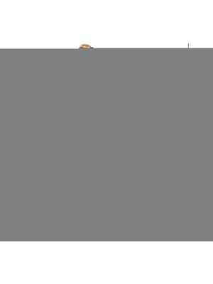 Rakun Home Hun Hükümdarı Mete Han Biblosu