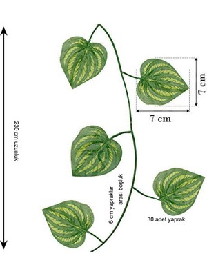 Pandoli Hawaian Tema Yapay Money Plant Para Çiçeği Bitkisi Dekor Süsü 230 cm Yeşil Renk 6 Adet