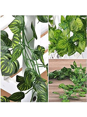 Pandoli Hawaian Tema Yapay Money Plant Para Çiçeği Bitkisi Dekor Süsü 230 cm Yeşil Renk 6 Adet