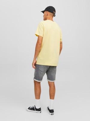 Jack & Jones Erkek Yırtık Desenli Kot Şort 12224128