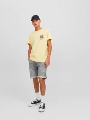 Jack & Jones Erkek Yırtık Desenli Kot Şort 12224128