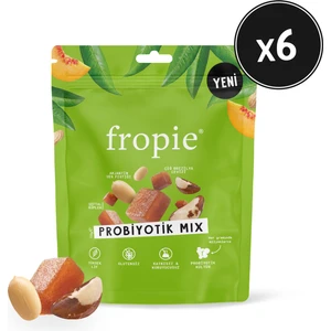 Karışık Kuruyemiş  Probiyotik Mix 75 gr x 6 Adet