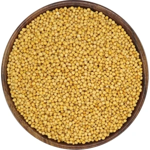 Bakkal Hasan  Hardal Tohumu Sarı