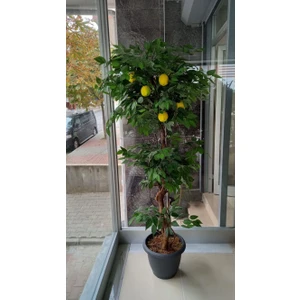 Cihan Çiçekçilik Limon Ağacı 180 cm Yapay Ağaç Üretim Saksısı