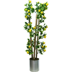 Cihan Çiçekçilik Limon Bambu Saksı 100CM 12X12 Metal Saksı