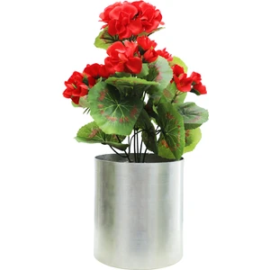 Cihan Çiçekçilik Sardunya Kırmızı 25 cm Dekoratif Bitki 12X12 Metal Saksı