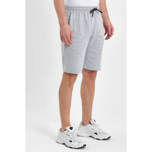 Regular Fit Yanları Cepli Rahat Kesim Gri Erkek Şort