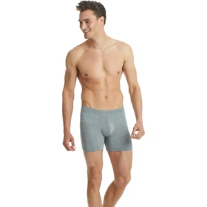 Silver Gri Boxer 9313