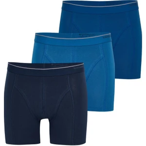 Erkek Boxer Pamuklu 3'lü Paket 9673