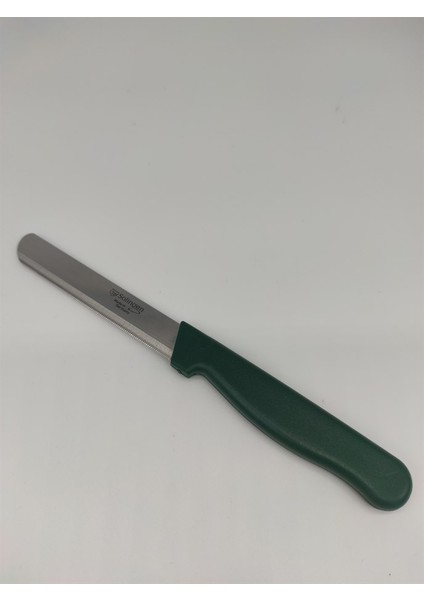 Yeşil Renk Sebze ve Doğrama Bıçağı modelleri