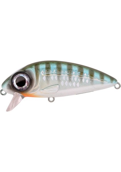 Iris Flanky Herring 9 cm 22 G Yapay Yem 1/1