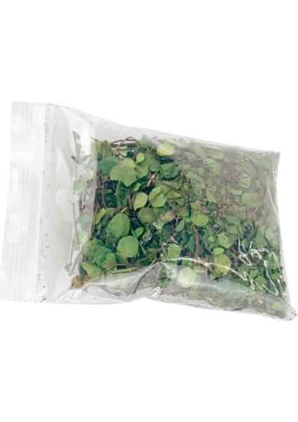 Model Demiryolu Mimarisi Model Dekor Yeşil Yapraklar Için Gerçekçi Minyatür Yapraklar Sahne (Yurt Dışından)