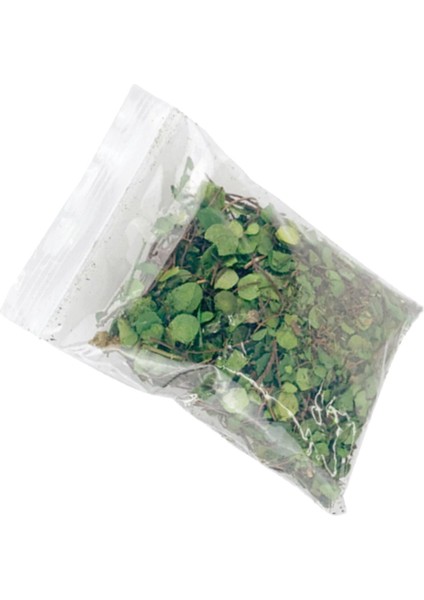 Model Demiryolu Mimarisi Model Dekor Yeşil Yapraklar Için Gerçekçi Minyatür Yapraklar Sahne (Yurt Dışından) modelleri