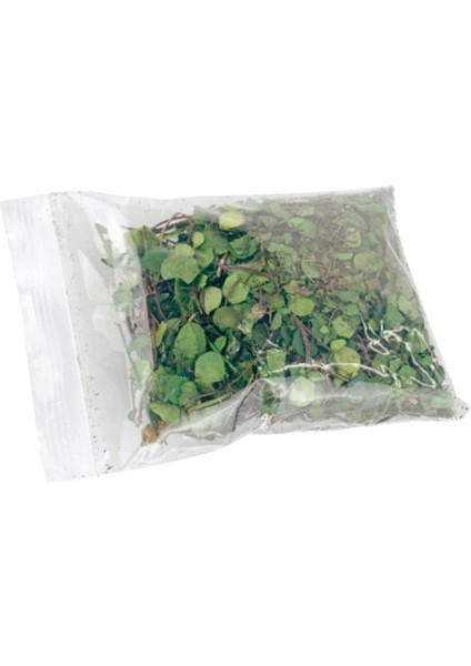 Model Demiryolu Mimarisi Model Dekor Yeşil Yapraklar Için Gerçekçi Minyatür Yapraklar Sahne (Yurt Dışından) fırsatları