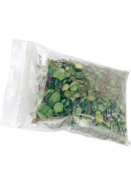 Model Demiryolu Mimarisi Model Dekor Yeşil Yapraklar Için Gerçekçi Minyatür Yapraklar Sahne (Yurt Dışından) indirimleri