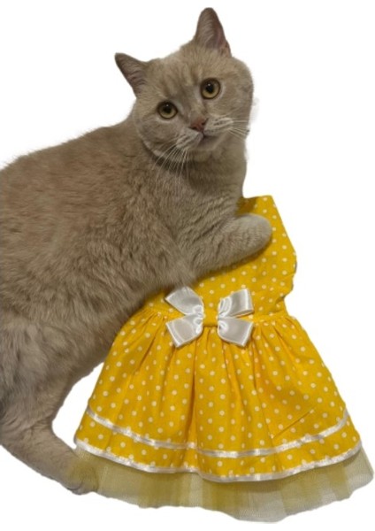 Sarı Puantiyeli Papyonlu Kedi Köpek Kıyafeti Elbisesi fiyatları