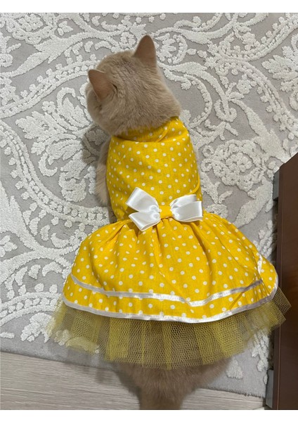 Sarı Puantiyeli Papyonlu Kedi Köpek Kıyafeti Elbisesi modelleri