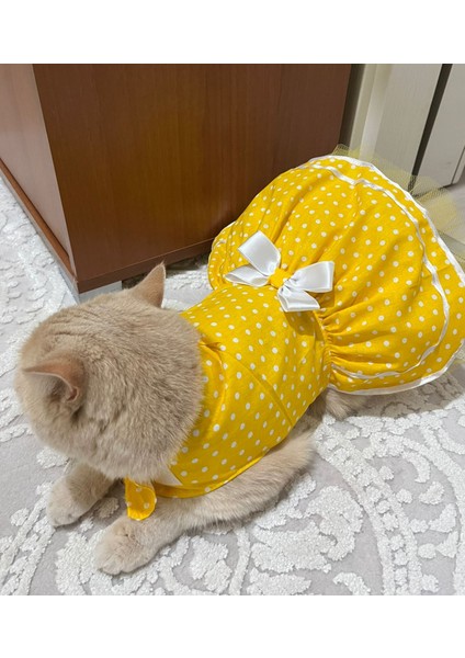 Sarı Puantiyeli Papyonlu Kedi Köpek Kıyafeti Elbisesi indirimleri
