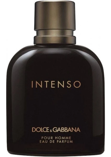 Dolce & Gabbana Dolce Gabbana Intenso Erkek Erkek Edp 125ML