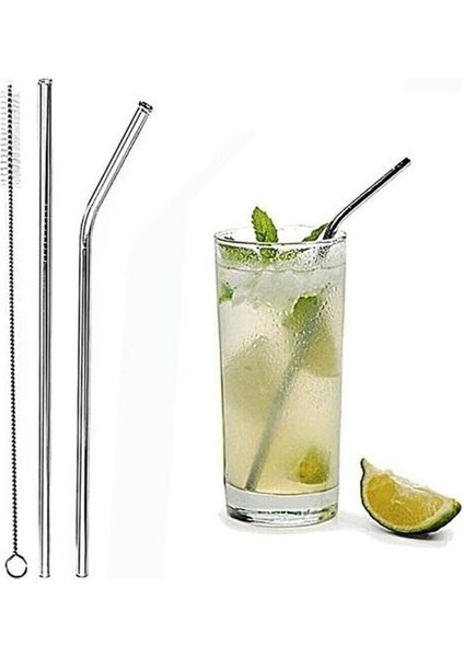 3 Parça Çelik Pipet Seti 2 Adet Çelik Pipet ve Temizleme Fırçası Düz Pipet Eğik Pipet ve Temizleme Fırçası 3'lü Set