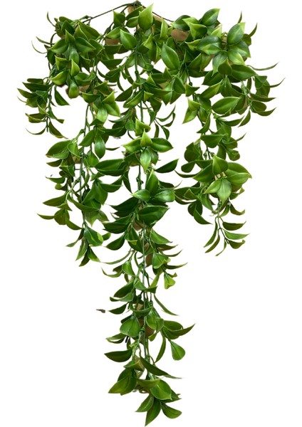 Limon Yaprağı 5 Dallı Sarkıt 80X50