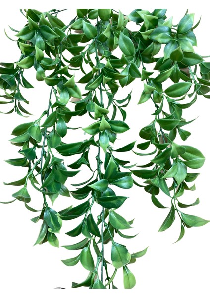 Limon Yaprağı 5 Dallı Sarkıt 80X50