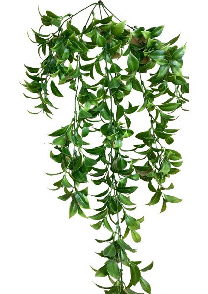 Limon Yaprağı 5 Dallı Sarkıt 80X50