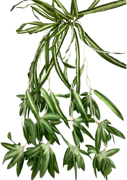 Kurdele Çiçeği 5 Dallı Sarkıt 60X50 fiyatları