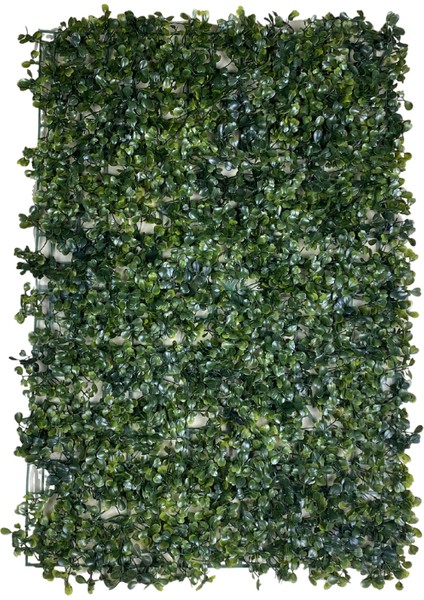 10'lu Yapay Çiçek Duvar Kaplama Panel Şimşir Tabaka 40X60 cm