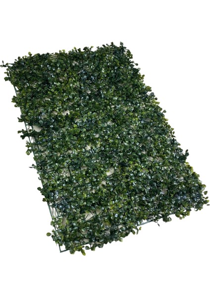 10'lu Yapay Çiçek Duvar Kaplama Panel Şimşir Tabaka 40X60 cm