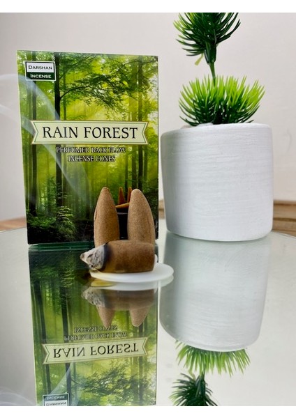 Rain Forest Geri Akış Tütsüsü 10 Adet