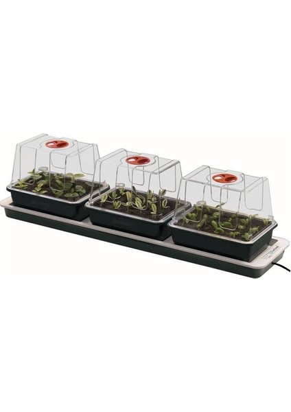 Trio Top Isıtıcılı Mini Sera