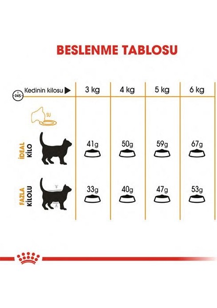 Hair & Skin Hassas Tüylü Kediler Için Mama 2 kg fırsatları