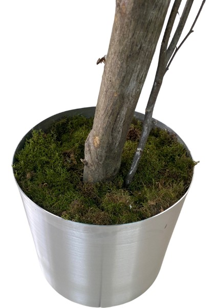 Beyaz Bahar Dalı 160 cm Yapay Ağaç 25X25 Metal Saksı fırsatları